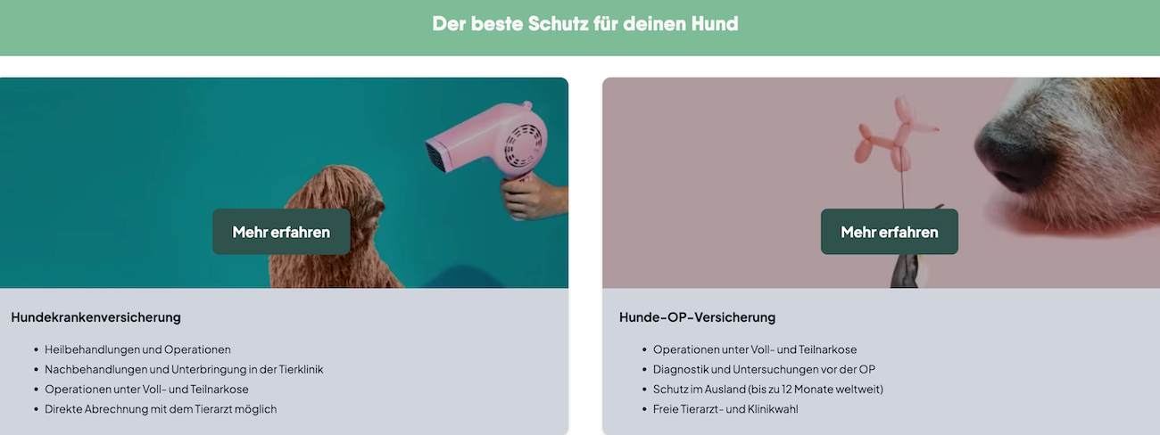 Hepster App – Digitale Einreichung & Verwaltung