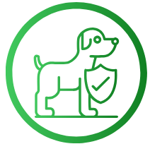 Hundeversicherung Senior 2026: Ab welchem Alter gilt ein Hund als Senior? Übersicht nach Rasse & Größe