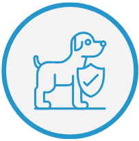 Homöopathie und Lasertherapie beim Hund – Versicherte alternative Behandlungen
